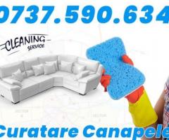 Servicii profesionale de curatare canapele la domiciliu
