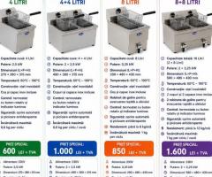 FRITEUZE ELECTRICE PROFESIONALE